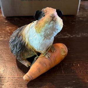 The Leonardo collection, guinea pig